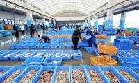 Russia Approval For Seafood Exports ‘trade Breakthrough’: Industry Representative
