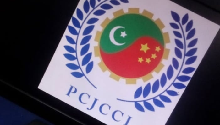 PCJCCI logo can be seen on a computer screen, image taken on November 5, 2024. — TheNews/AquibAli