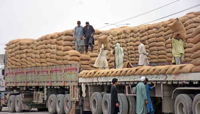 Labourers can be seen transferring the wheat sacks in Islamabad. — Online/File