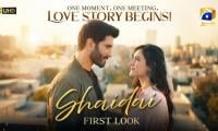 Geo TV’s New Serial ‘Shaidai’ Premieres Today