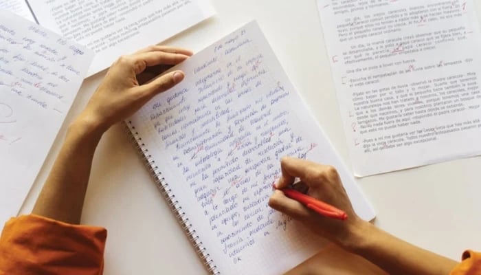 A representational image of a female writer. —TheNews/File