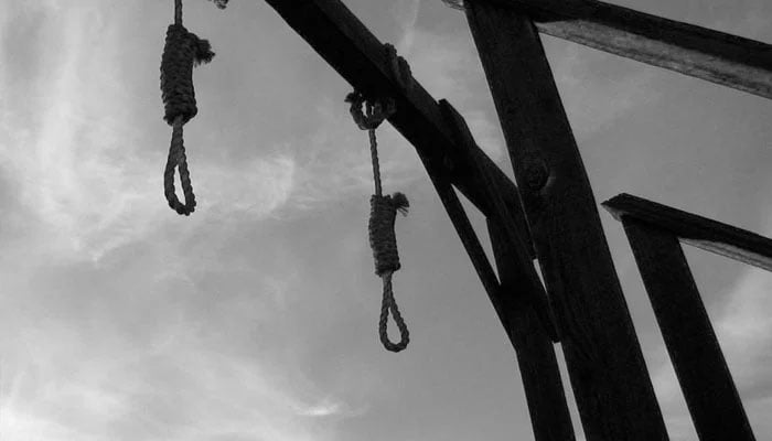 The representational image depicts a wooden gallows structure with nooses. — The News/File