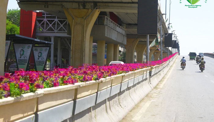 The Chandni Chowk flyover in Rawalpindi gets a makeover on April 23, 2026. — Facebook@Horticulture Agency Rawalpindi