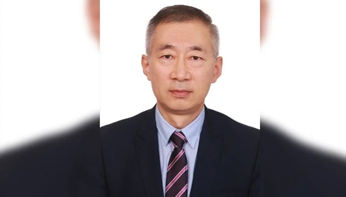 Chinese Consul General in Lahore Sun Yan. — China Consulate in Lahore website/File