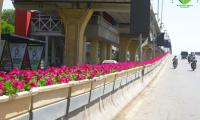 Chandni Chowk Flyover Gets Floral Makeover