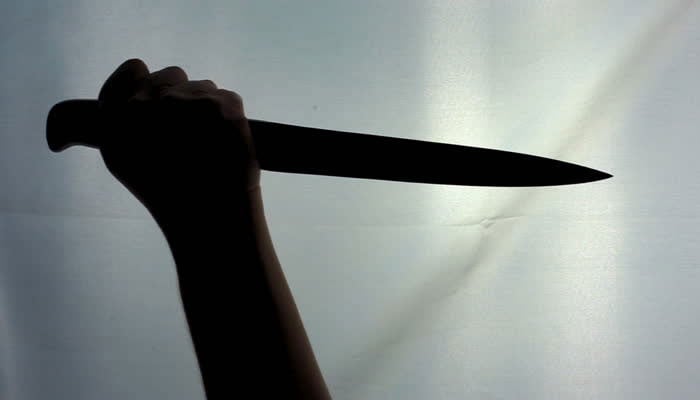 The representational image shows the silhouette of a hand holding a knife. — The News/File