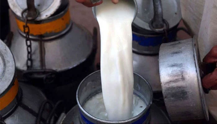 A dairy farmer pours milk in a steel drum. — PPI/File