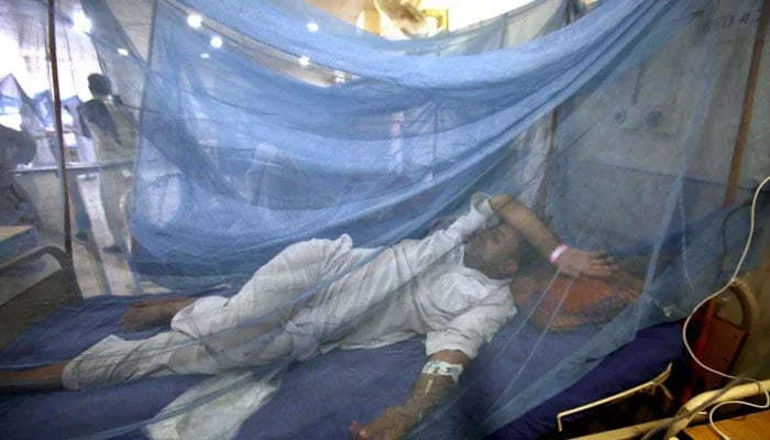 Malaria patients are being treated in an isolation ward established at a local hospital in Peshawar on Sunday, September 25, 2022. —PPI