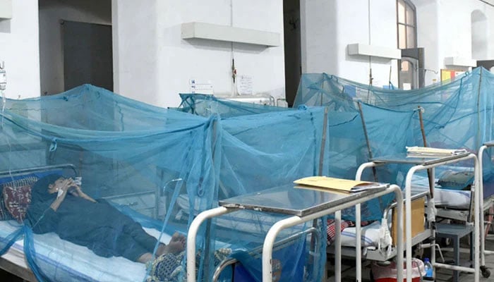 Patients suffering from dengue fever being treated at a hospital on October 8, 2023. — Online