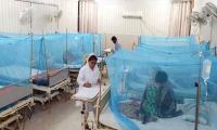 Time To Take Serious Measures To Avoid Dengue Fever Outbreak