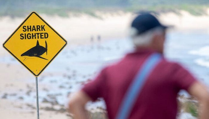 This representational image shows warning signs in place and beaches closed after a surfer suffered a shark attack at Dee Why Beach in Sydney, Australia, on January 19, 2026. — Reuters