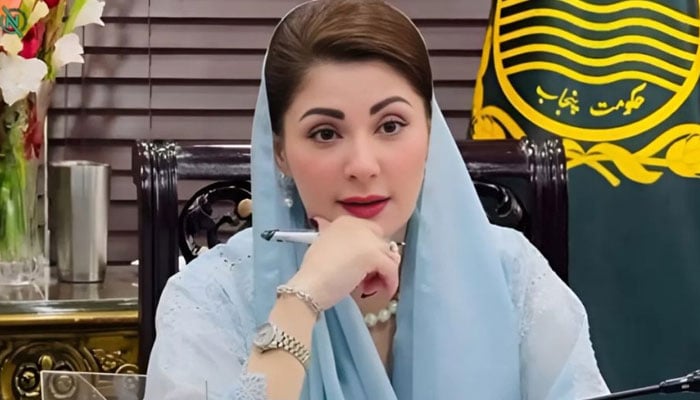 Punjab Chief Minister Maryam Nawaz Sharif gestures during a meeting in Lahore. — APP