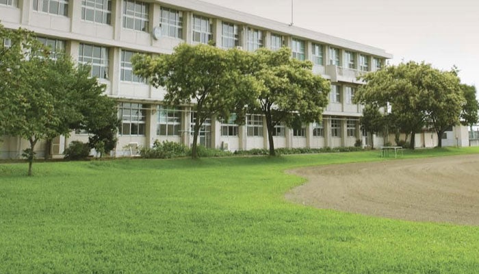 The representational image, a Punjab government poster on Facebook, shows a school with lush green compound.  — Facebook@punjabepa/File