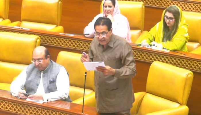 PMLN Chief Whip Rana Muhammad Arshad presenting a resolution on April 28, 2026. — Facebook@ProvincialAssemblyofPunjab/Screengrab