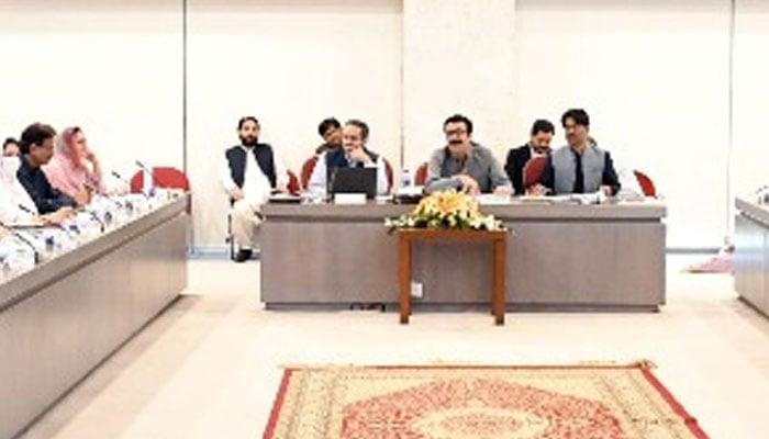 Syed Rafiullah is chairing the National Assembly Standing Committee on Overseas Pakistanis and Human Resource Development meeting. —NA website/File