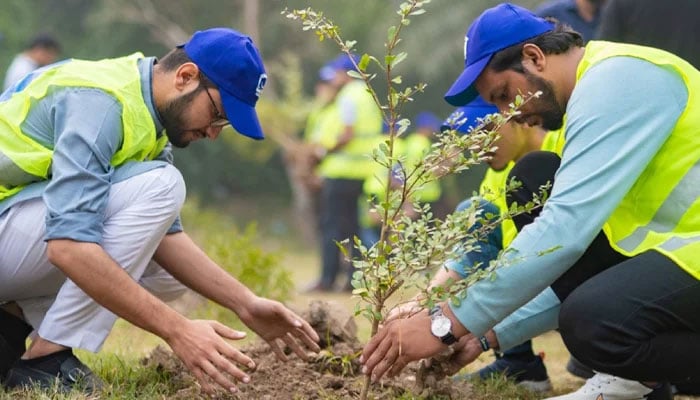 Volunteers of the AKF while planting 10,000 saplings at Thokar Niaz Baig near the NAB office under its smog-free campaign on October 21, 2023. — Facebook/Alkhidmat Foundation Pakistan