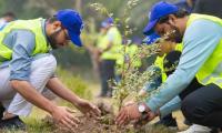 Over 0.5m Saplings Planted Across Punjab