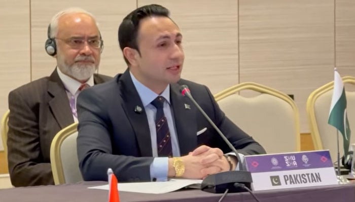 Sardar Yasir Ilyas Khan, Coordinator to the Prime Minister on Tourism at at the Economic Cooperation Organization (ECO) conference in Shusha.  — Facebook@Sardar-Yasir-Ilyas-Khan/Screengrab
