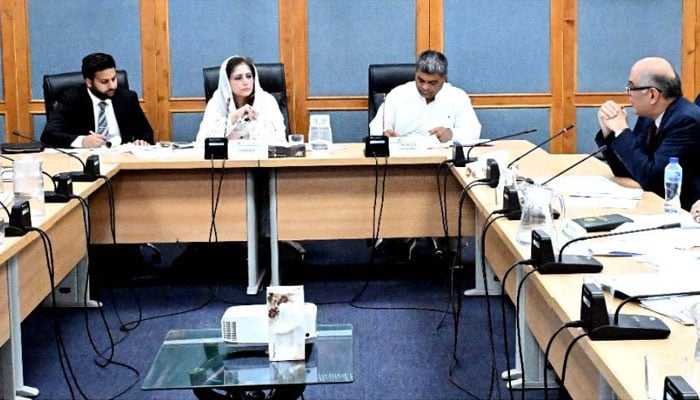 Senator Rubina Qaimkhani chairing the meeting of the Senate Sub-Committee on Poverty Alleviation and Social Safety  on April 30, 2026. — Facebook@Pakistansenate