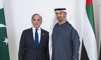Pakistan-UAE Ties Evolve Into Strategic Partnership, Says FPCCI Official