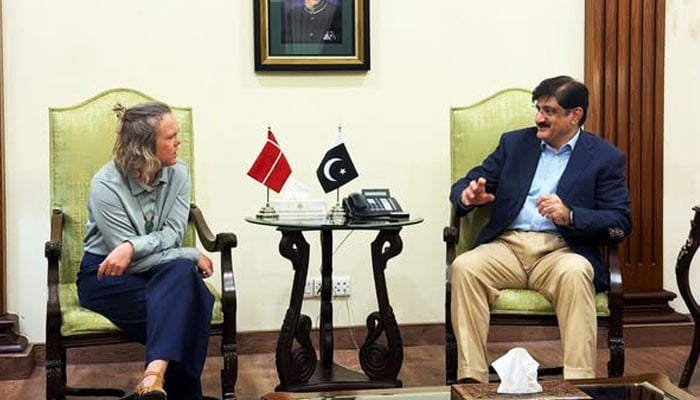 CM outlines govt’s plan for affordable power through provincial grid