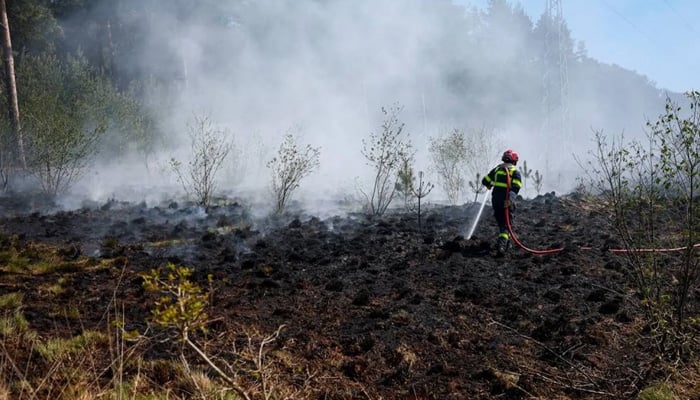 A French firefighter douses burning vegetation during a bushfire in Budel, Netherlands May 1, 2026. Reuters