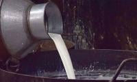 Milk Prices Increase