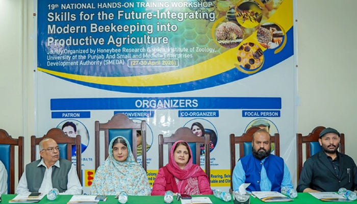 The image shows a glimpse from a 19th National Hands-on Training Workshop titled ‘Skills for the Future – Integrating Modern Beekeeping into Productive Agriculture at the Punjab University’s Institute of Zoology on May 2, 2026. — Punjab University website/File