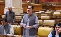 PTI Criticises Punjab Wheat Policy, Demands Fuel Subsidy