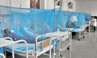Dengue Surveillance In All Govt Offices Ordered