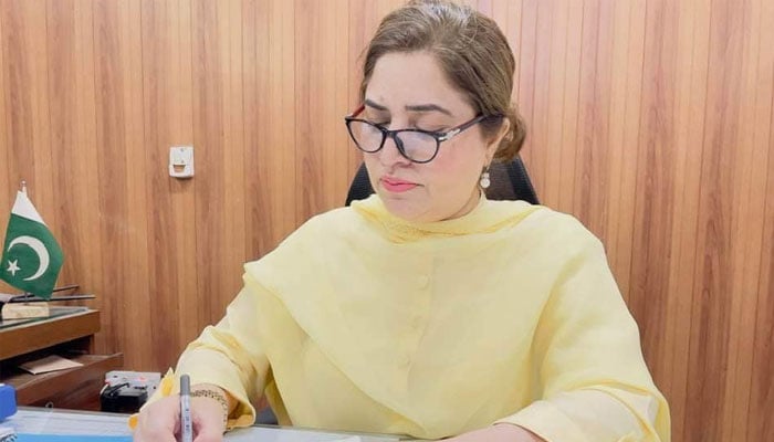Dirpis Additional Director Prof Rafia Mallah. —Facebook@Directorate of Inspection & Registration of Private Institutions Sindh/File