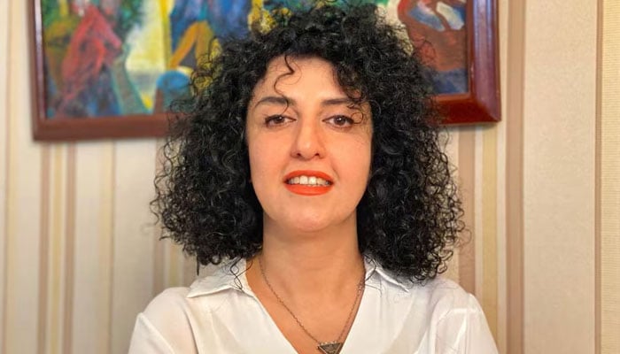 Iranian human rights activist and the vice president of the Defenders of Human Rights Center (DHRC) Narges Mohammadi poses in this undated handout picture. — Reuters/File