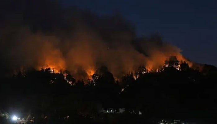 A wildfire burns near the Kirikiri district of Otsuchi, Iwate Prefecture, Japan, on April 24, 2026 — Reuters