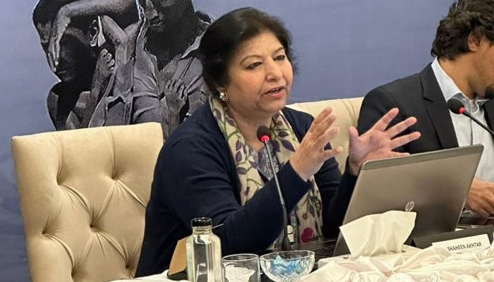Dr Shaheen Akhtar, Head of Department of International Relations, National Defence University at an event on January 17, 2024. — X@CSCR_pk