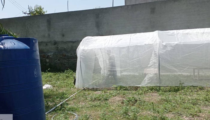 The modern walk-in tunnel farming being installed in Swabi on April 30, 2026. — Facebook@AgricultureKP