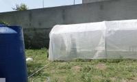 Boosting Crop Yield: Tunnel Farming Introduced In Charsadda