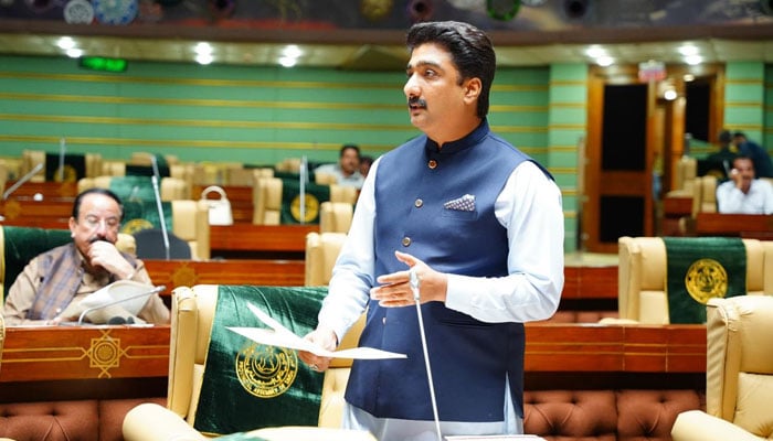 Culture Minister Syed Zulfiqar Ali Shah speaking in the Sindh Assembly, on May 5, 2026. — Facebook@MPAZulfiqarAliShah