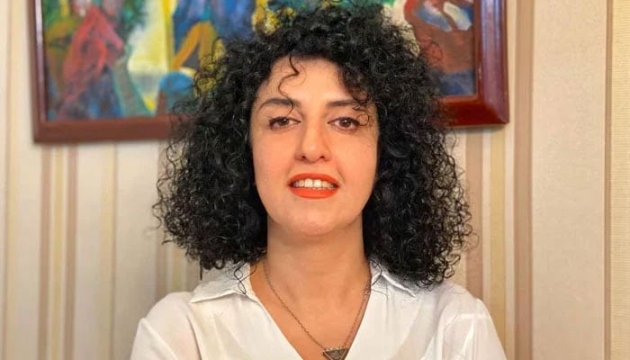 Iranian human rights activist and the vice president of the Defenders of Human Rights Center (DHRC) Narges Mohammadi poses in this undated handout picture. — Reuters/File