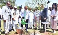 Govt Reaffirms Commitment To Urban Afforestation