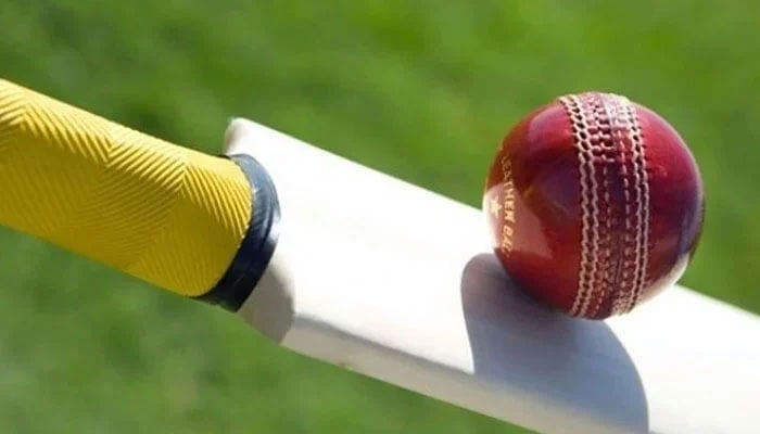 A representational image of cricket ball and bat. — AFP/File