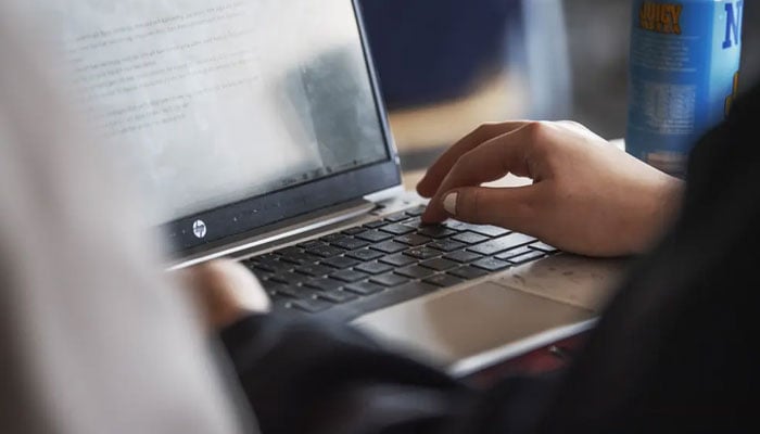 This image depicts a person engaging in digital activities using a laptop. — Victoria Bank/File