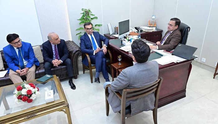 Federal Minister for Economic Affairs Ahad Cheema chairs a meeting on May 8, 2026. — PID