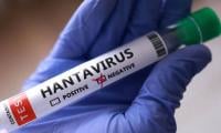 Hantavirus Outbreak Risk To Public ‘absolutely Low’: WHO