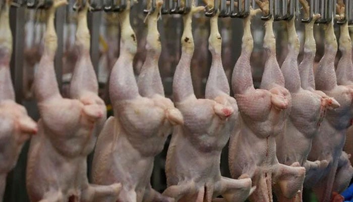 This representational image of chicken meat at a shop. — Reuters/File