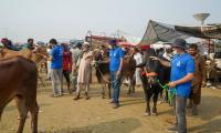 Alkhidmat To Carry Out Qurbani For Gaza People