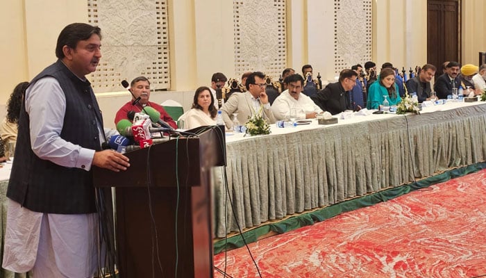 Punjab Assembly Speaker Malik Muhammad Ahmad Khan addresses a seminar on May 10, 2026. — Facebook@MalikMAhmadKhan