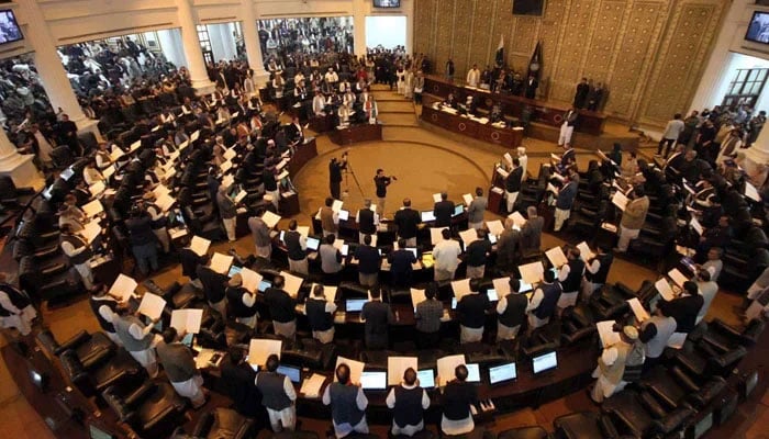 A representational image of a session of the Khyber Pakhtunkhwa Assembly in Peshawar on February 28, 2024. — PPI