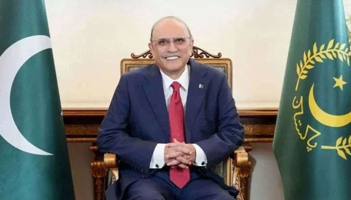 President Asif Ali Zardari poses for a photo in this undated image. — President House website/File