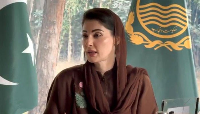 Punjab Chief Minister Maryam Nawaz Sharif presiding over a meeting in Lahore on Tuesday—Radio Pakistan