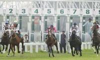Zaman Sahib Only Favourite To Win In Lahore Races